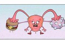 确诊为免疫性不孕能在广德市做试管婴儿吗？做三代试管需要多少钱？