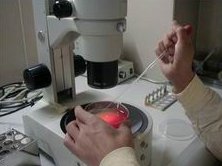 天津美津宜和妇儿医院做三代试管婴儿成功率高不高？什么因素可以影响到试管成功率