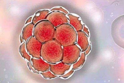 河北医科大学第二医院洗精费用多少钱？试管婴儿移植成功后检查流程有哪些？