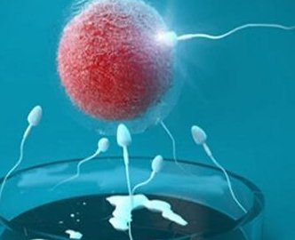 衡阳蒸湘区哪个医院做试管婴儿，衡阳蒸湘区哪个医院做试管婴儿好